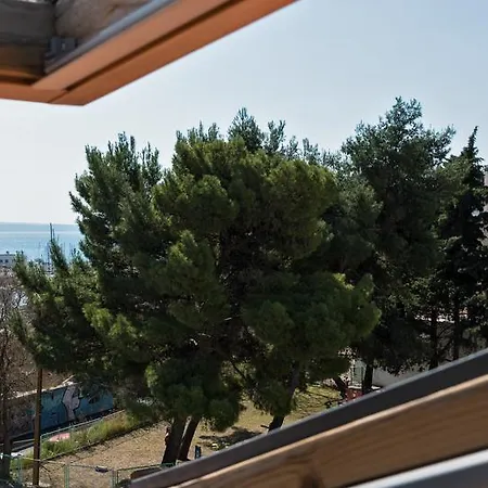 Apartment Viki *