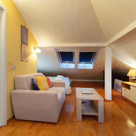Apartment Viki