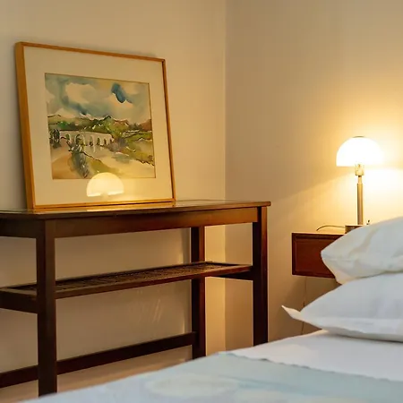 Apartment Viki *