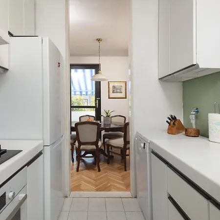 Apartment Viki