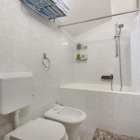 Apartment Viki